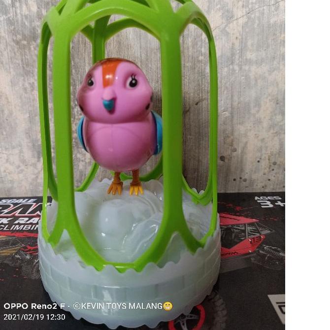 5600 Gambar Kartun Burung Berkicau HD Terbaru