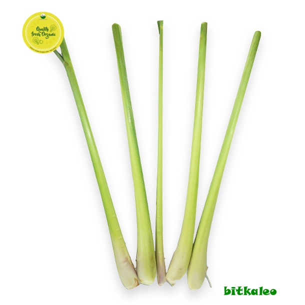 

Daun Sereh Organik 200 gr (PO)