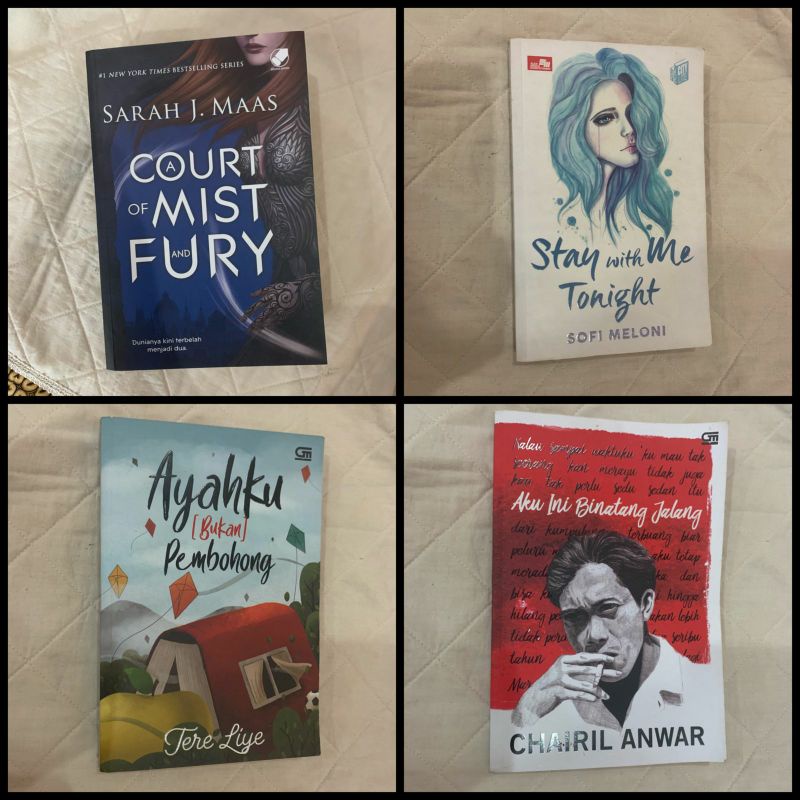 NOVEL AKU INI BINATANG JALANG ( PRELOVED )