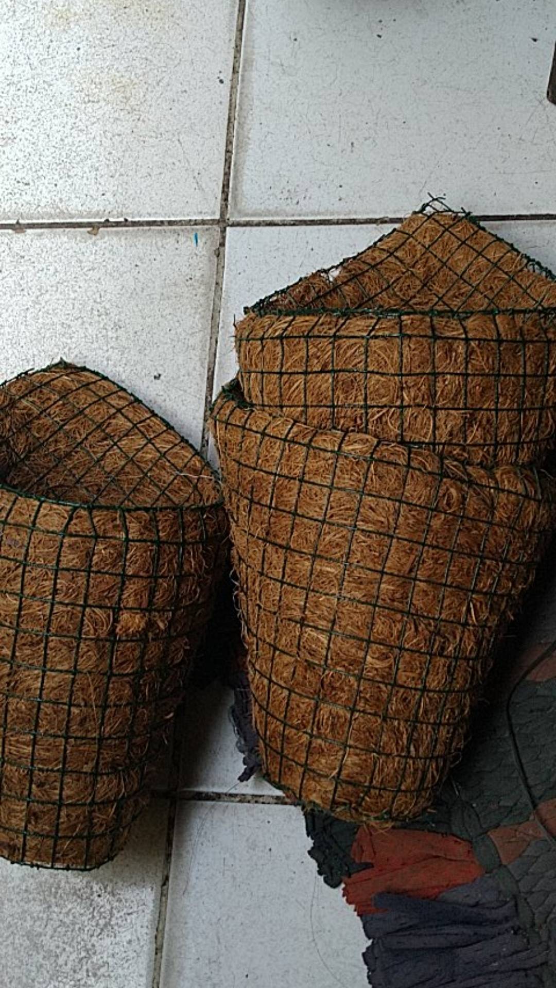 Pot Tempel / Pot Gantung / Pot Sabut Kelapa / Tanaman Anggrek / Dendrobium / Media Tanaman Anggrek