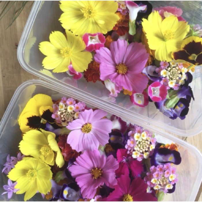 

Edible Flower (mixed) 30 gr