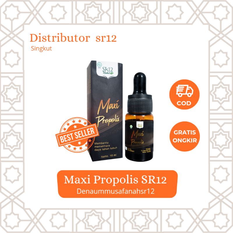 MAXI PROPOLIS SR12/PROPOLIS BRAZILIAN ASLI