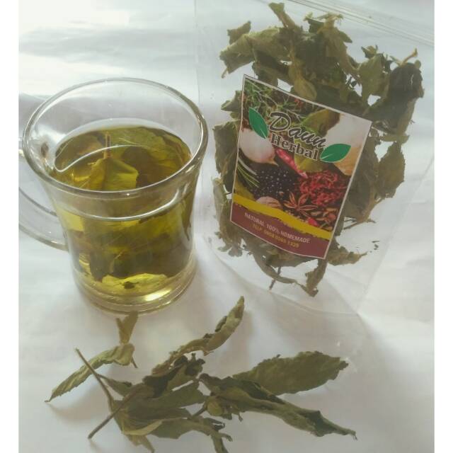 Teh Daun Kersen Khas Daun Herbal Shopee Indonesia