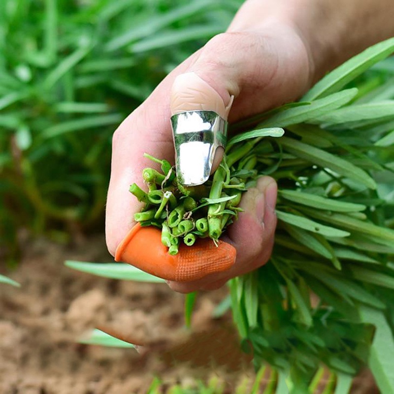 Alat Pemotong Sayuran Portable