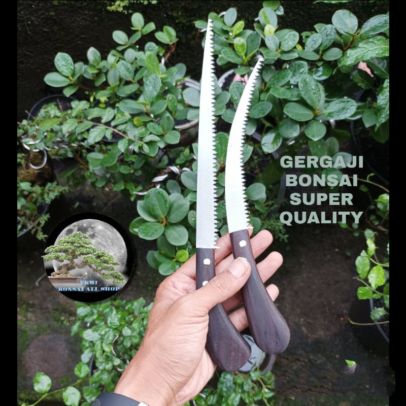 Gergaji pruning bonsai super quality