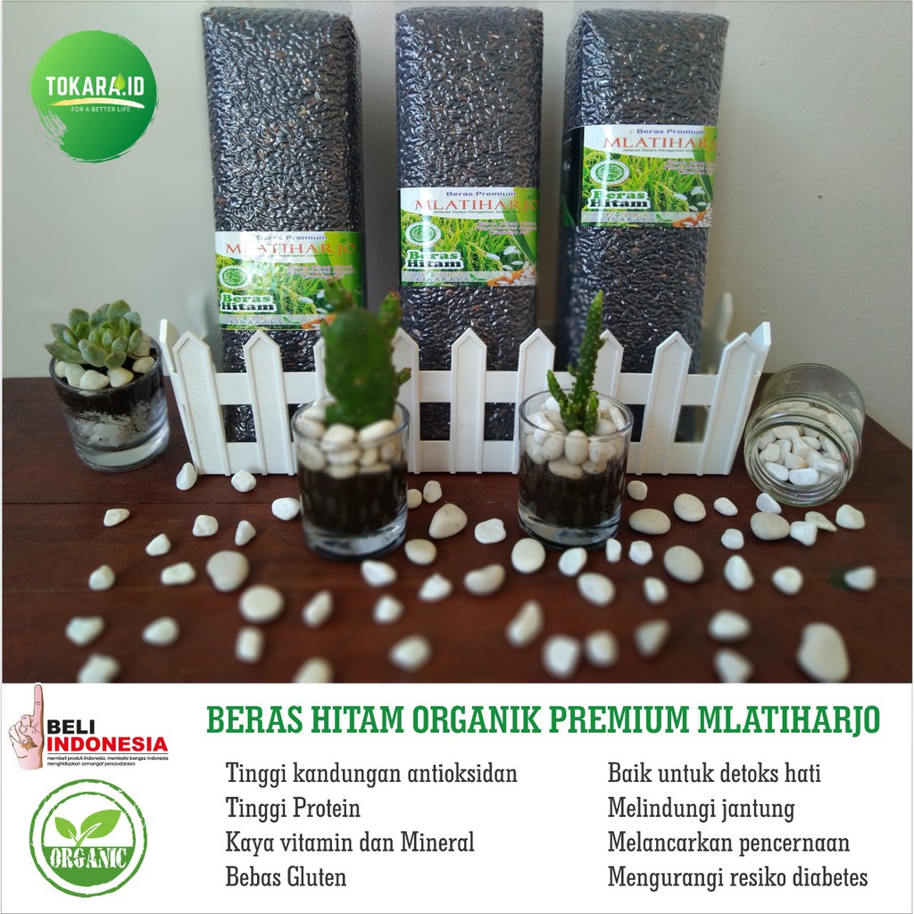 

BERAS HITAM ORGANIK PREMIUM MLATIHARJO (VAKUM 1 KG)