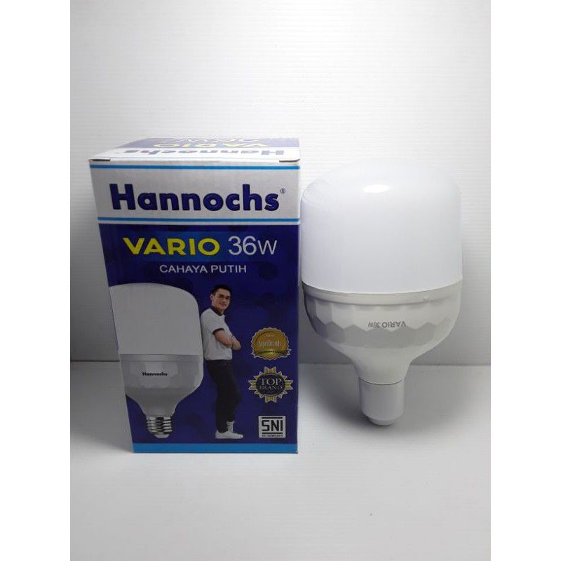 Bola Lampu Hannochs Vario 36Watt