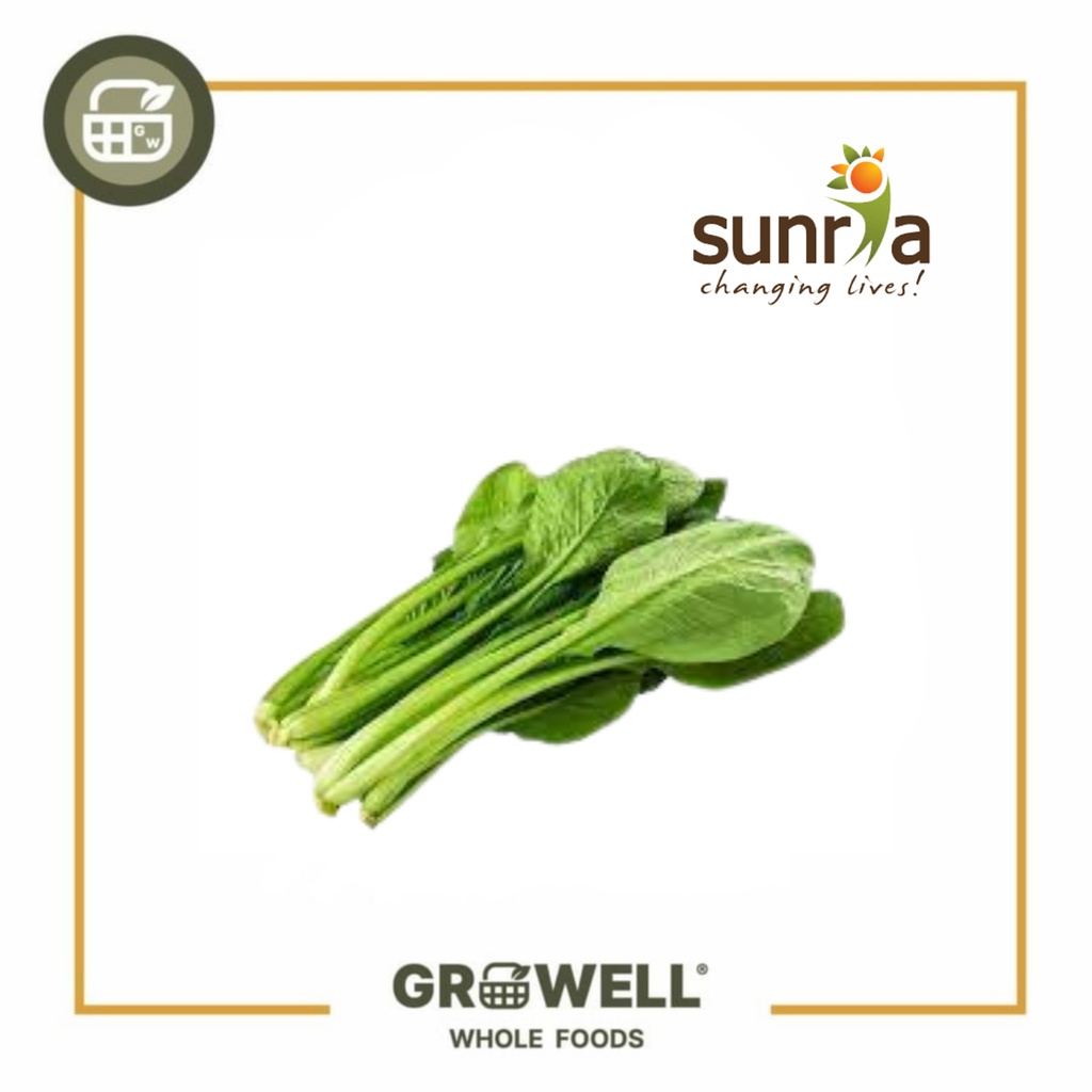 SUNRIA SPINACH HORENSO