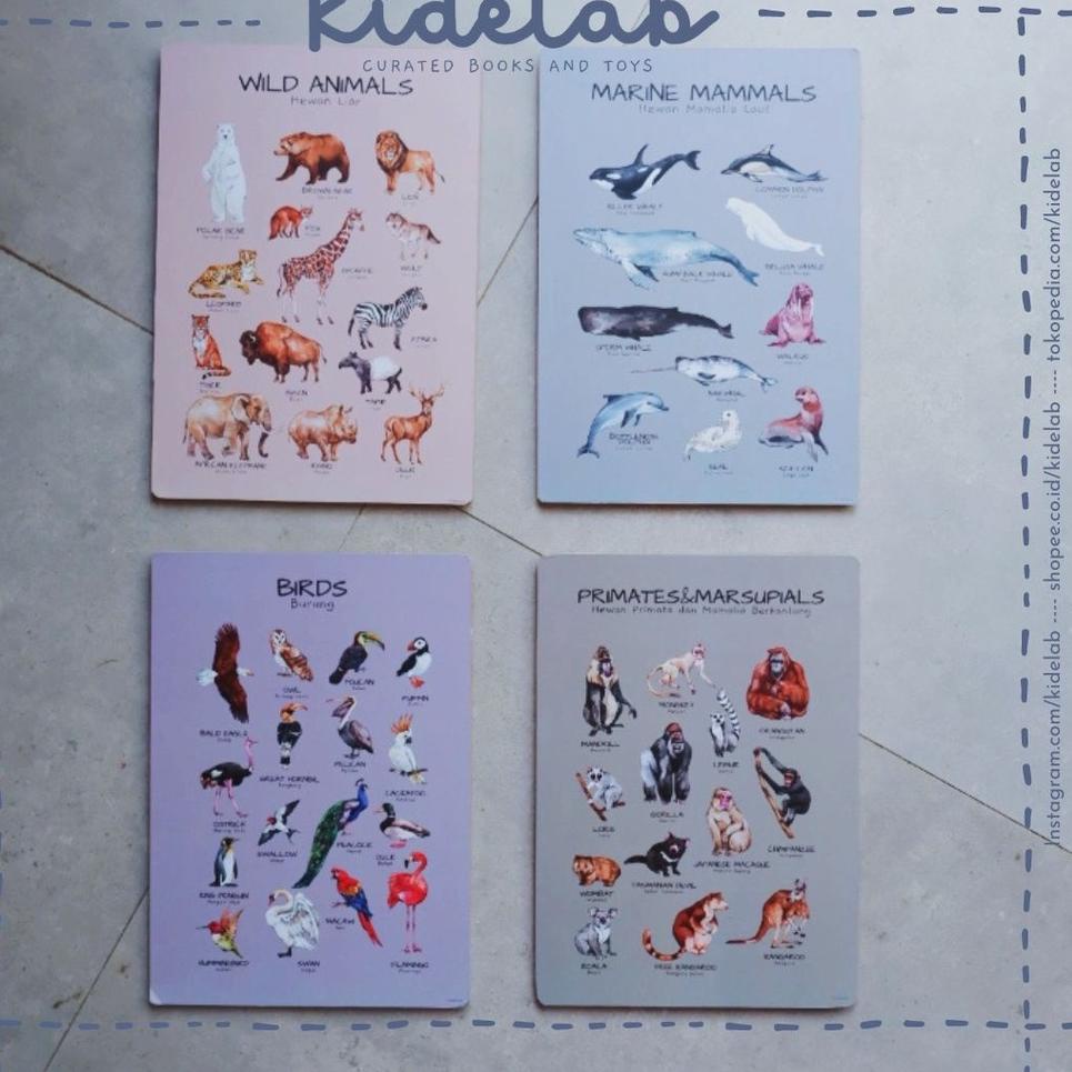 CSR7d7C--poster tebal anak A4 (6mm) KIDELAB montessori aesthetic estetik edukasi pendidikan belajar 
