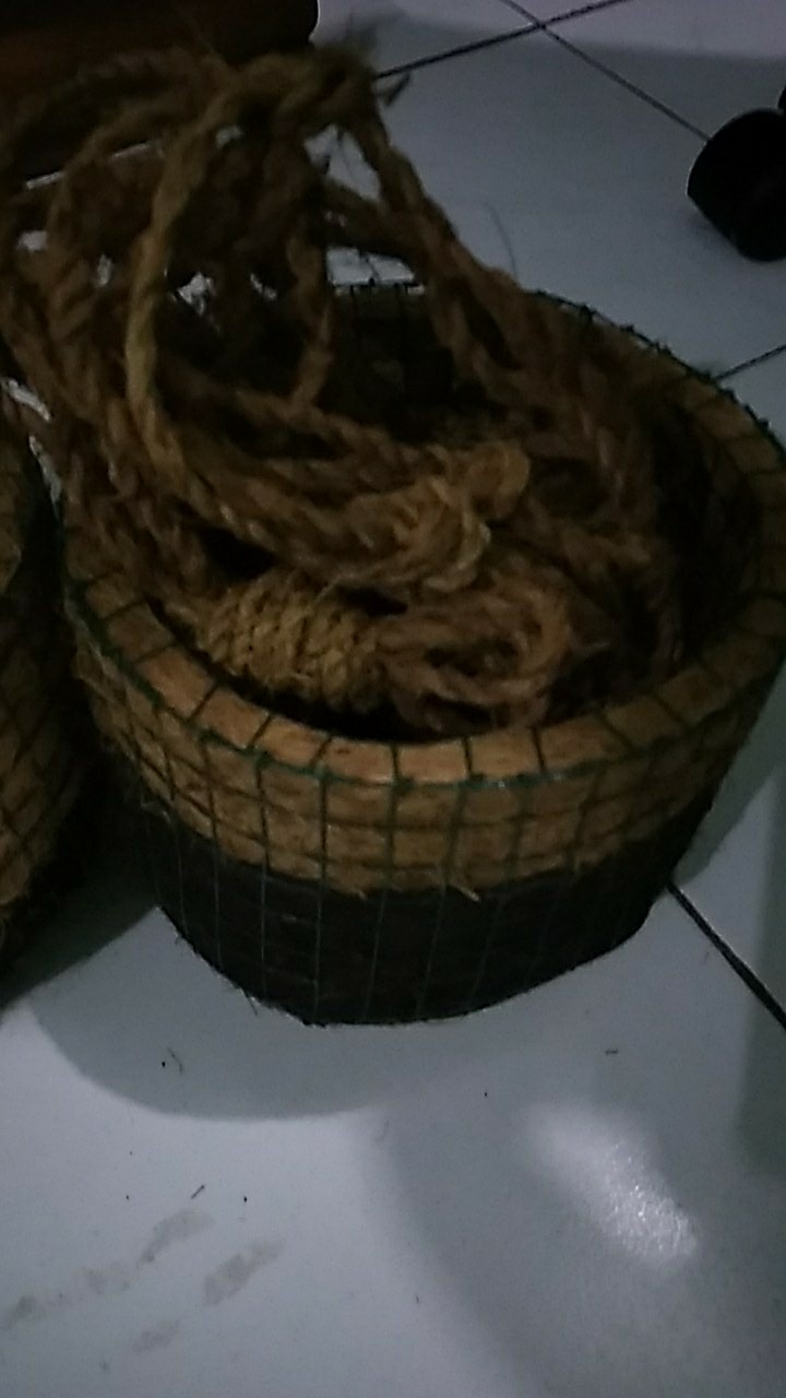 Pot Gantung Injuk Penyubur Anggrek Ready