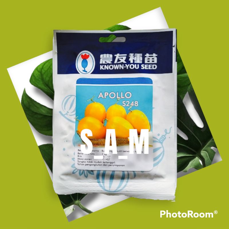 PROMO BENIH BIBIT MELON GOLDEN APOLLO F1
