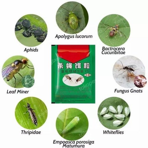 Obat LALAT AMPUH / OBAT PEMBASMI LALAT ORIGINAL / OBAT UMPAN LALAT / ANTI LALAT PERANGKAP LALAT