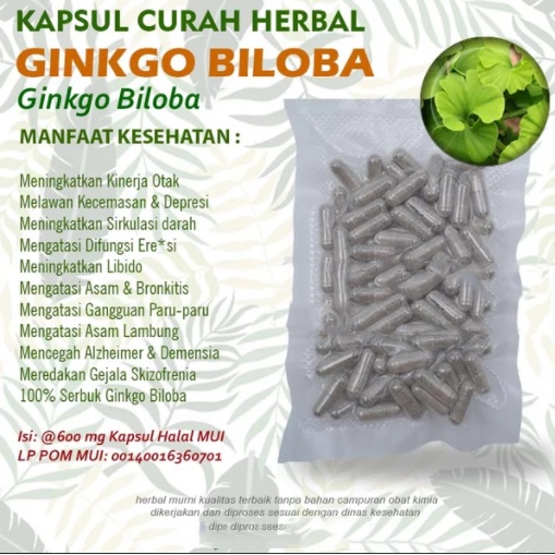 GINKGO BILOBA 100 Kapsul Curah Herbal Libido Anti Aging Kinerja Otak
