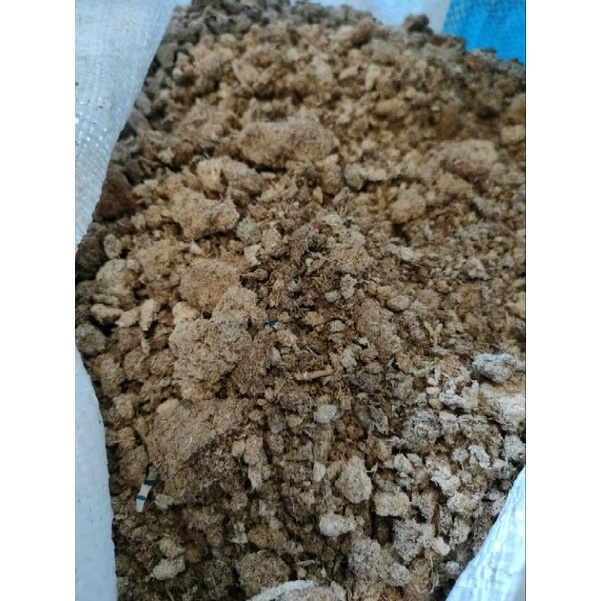 

Supplier Onggok/ampas singkong kering kualitas super B