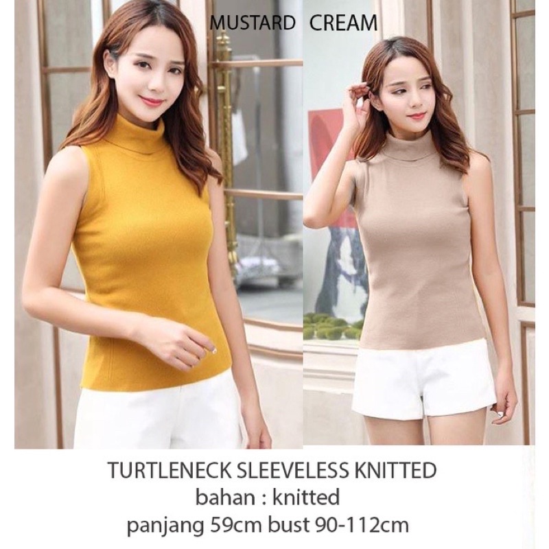 Basic turtleneck blouse knitted premium 113