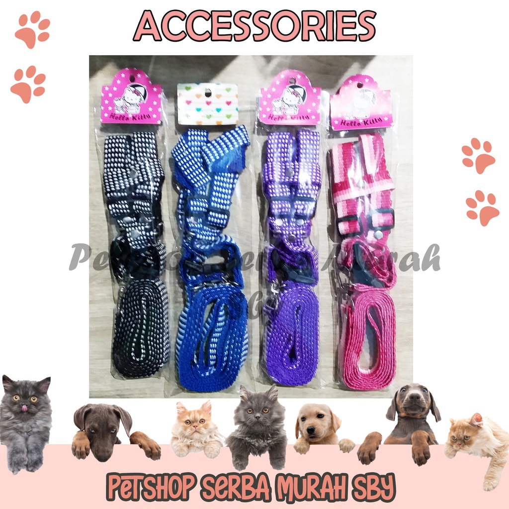 Tali Tuntun Kucing - Harness Model Y - Aksesoris Hewan Peliharaan