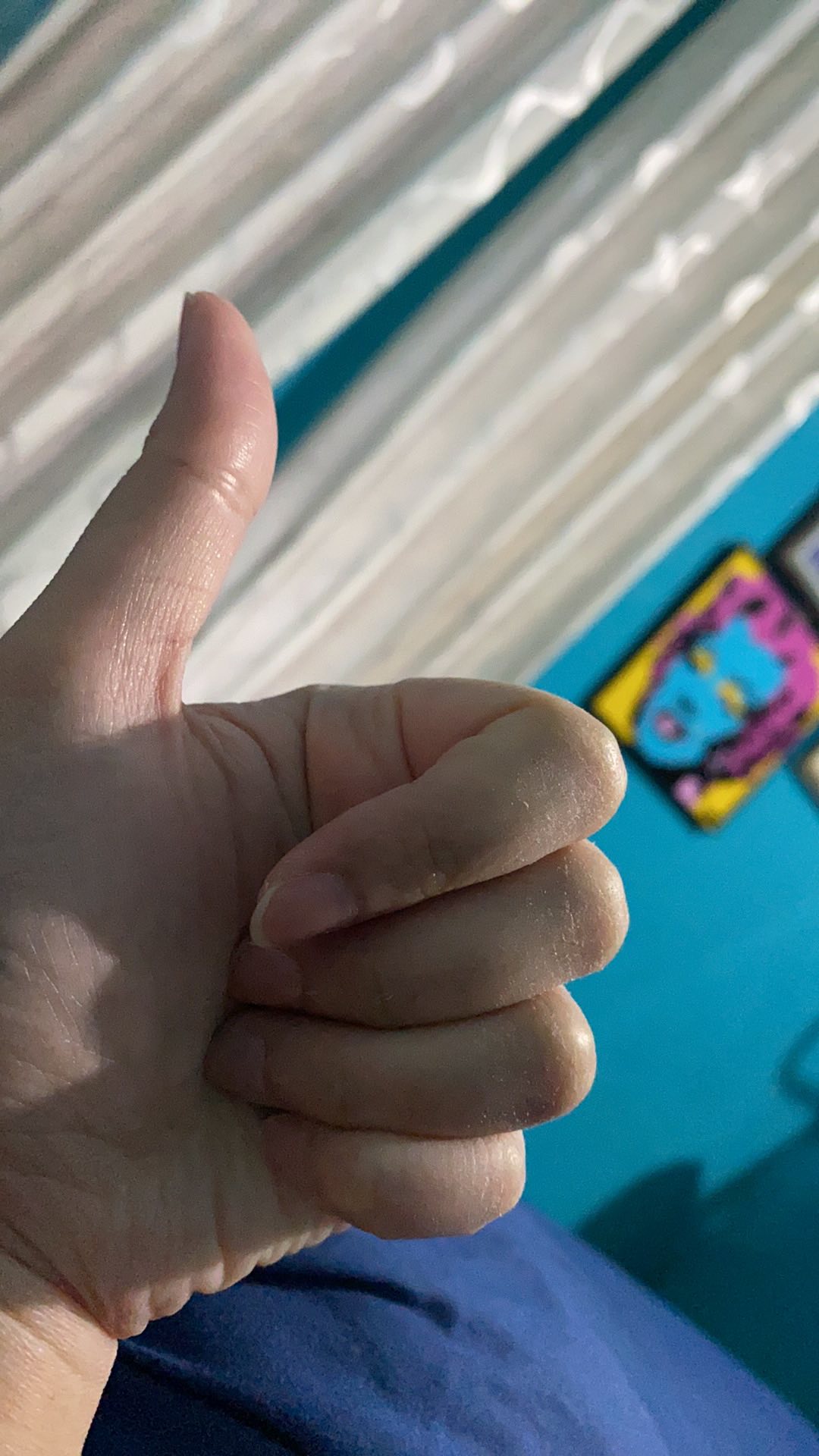 @25pcs Alumunium Foil Tray Rx-1200 / Aluminium Rx-1200 + Tutup Bulat