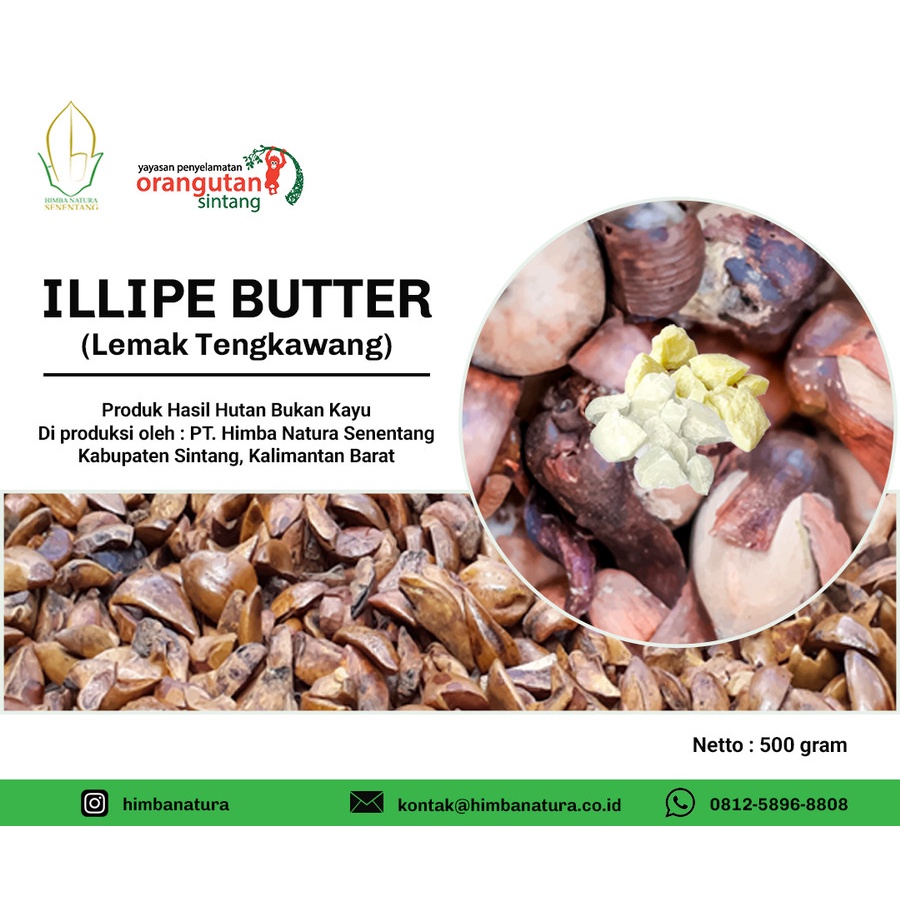 

Illipe Butter Kuning Original (Lemak atau Minyak Tengkawang) 500 gram