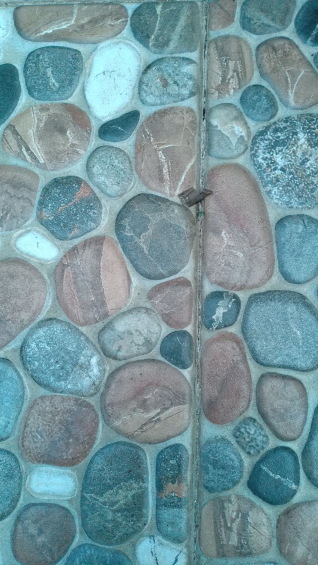 Paket 2pcs Nampan Alas Tray + 2pcs Tray Semai 200 Lubang