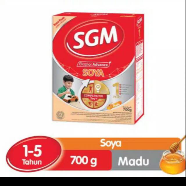 

SGM SOYA 1 - 5 TAHUN RASA MADU 700 GR