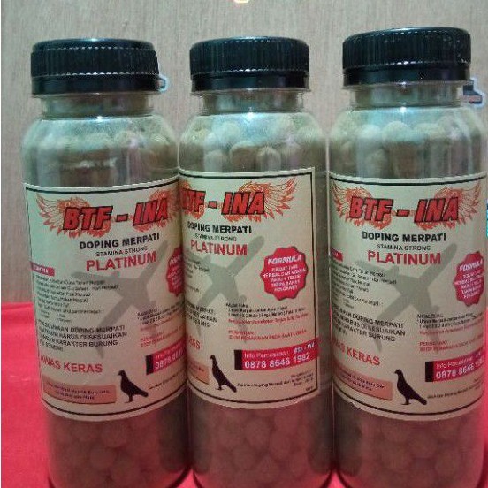 jamu doping energi merpati btf ina platinum khusus burung dara player lomba kolongan pos tinggian