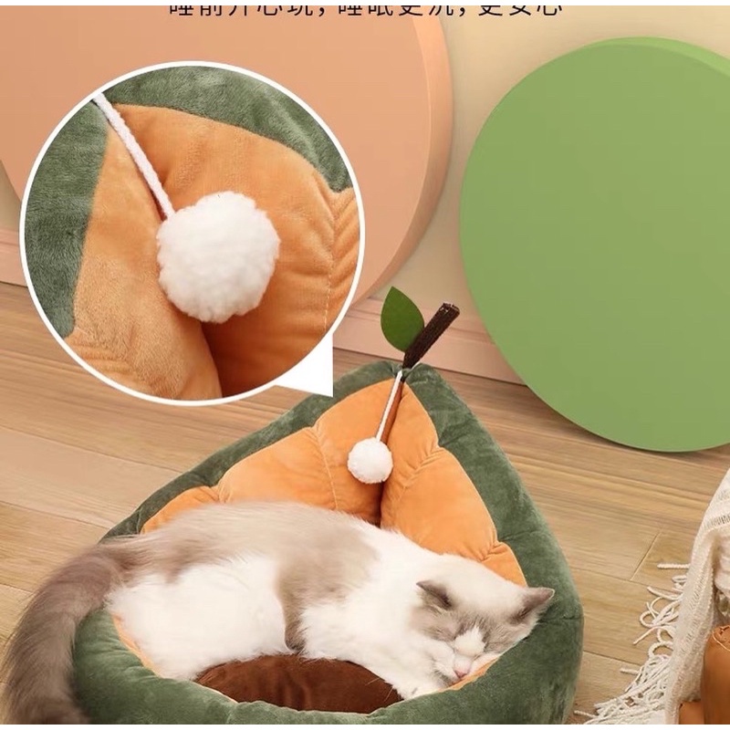 Avocado Bed Matrass Ranjang Lucu  for Cat Dog Pet