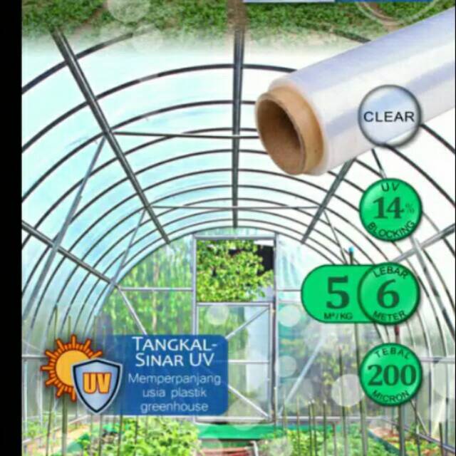 Plastik UV Lebar 6 meter, Panjang 100 m, 80 micron, 14% Warna putih susu