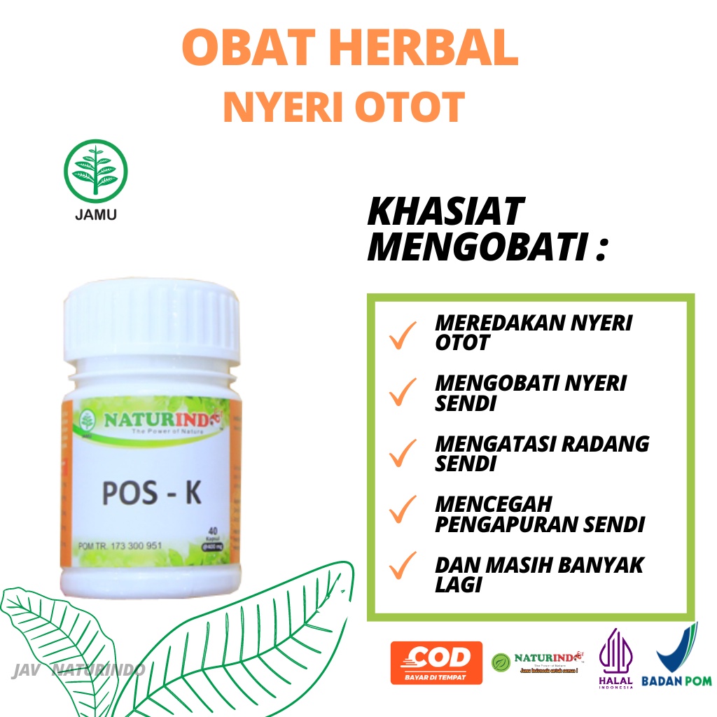 Obat Nyeri Otot Nyeri Sendi Otot Kaku Radang Sendi Obat Pengapuran Sendi Herbal Ampuh