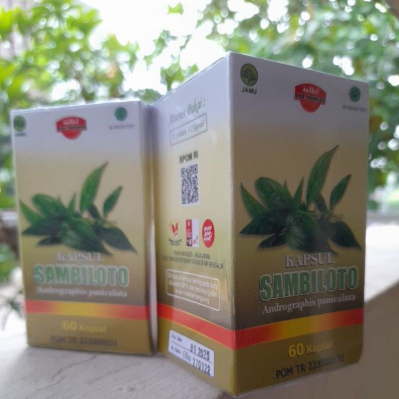

KAPSUL EXTRAK SAMBILOTO 60pcs