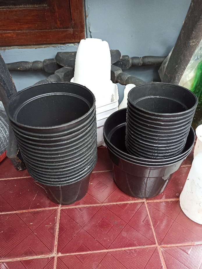 Polybag / Polibek Semai Ukuran 18 X 18 (50pcs) - 7003