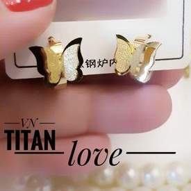 Titanium anting i22