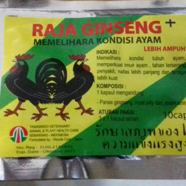 

Raja Ginseng Cap Untuk Ayam aduan 10caps