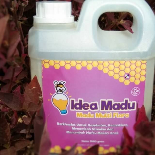 

Madu murni, madu asli, multiflora, Idea madu