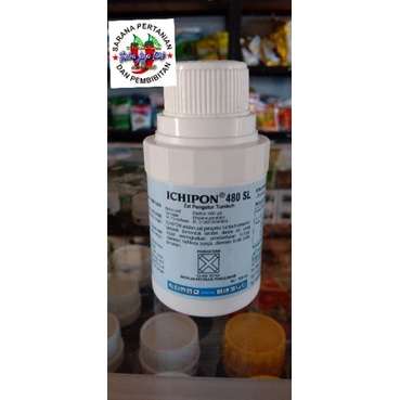 ICHIPON 480 SL 100 ML