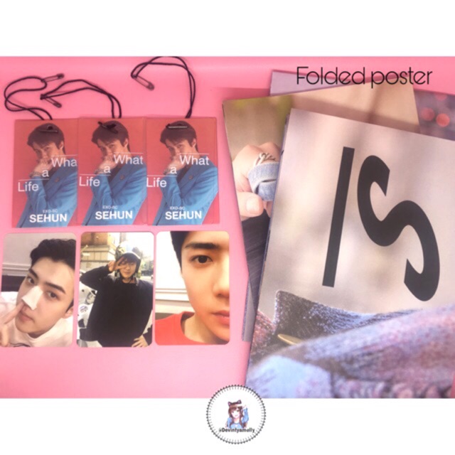 PHOTOCARD/TAG MEMBER/FOLDED POSTER ALBUM EXO SC - UNIT PC SEHUN CHANYEOL ‘WHAT A LIFE’