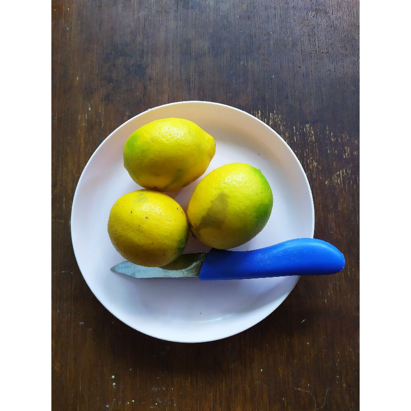 

Jeruk lemon besar