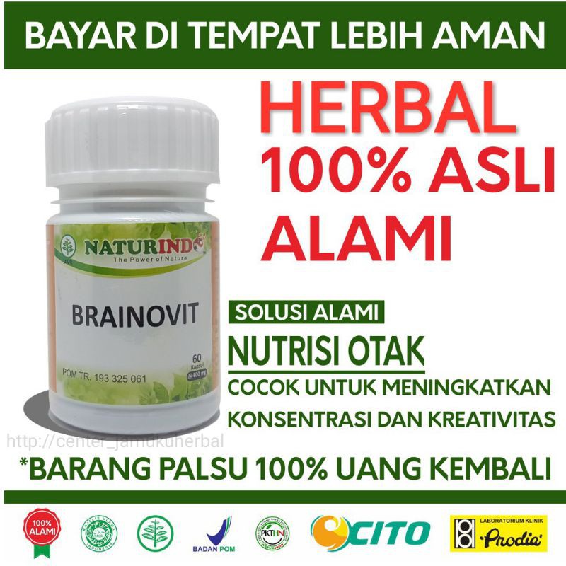 HERBAL ALAMI UNTUK NUTRISI SYARAF OTAK.VITAMIN OTAK BRAINOVIT NATURINDO