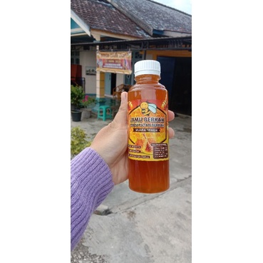 

madu hutan asli