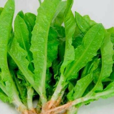 Sayur Organik / Siomak Organik / Organic Dried Lettuce 200g