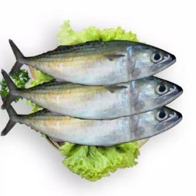 

Ikan Kembung Banjar 1 kg