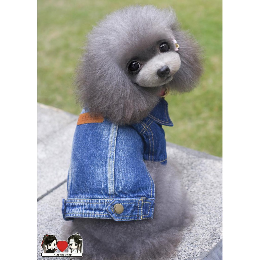 Jaket Denim Motif Beruang Untuk Anjing Peliharaan Shopee Indonesia