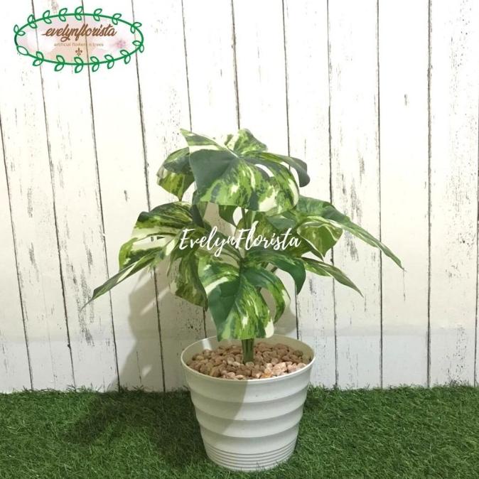 Pohon Artificial Palsu Daun Monstera Variegata Pot Ulir Plastik Cantik