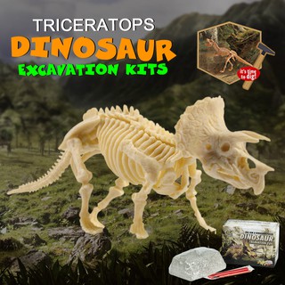 dinosaur science kit