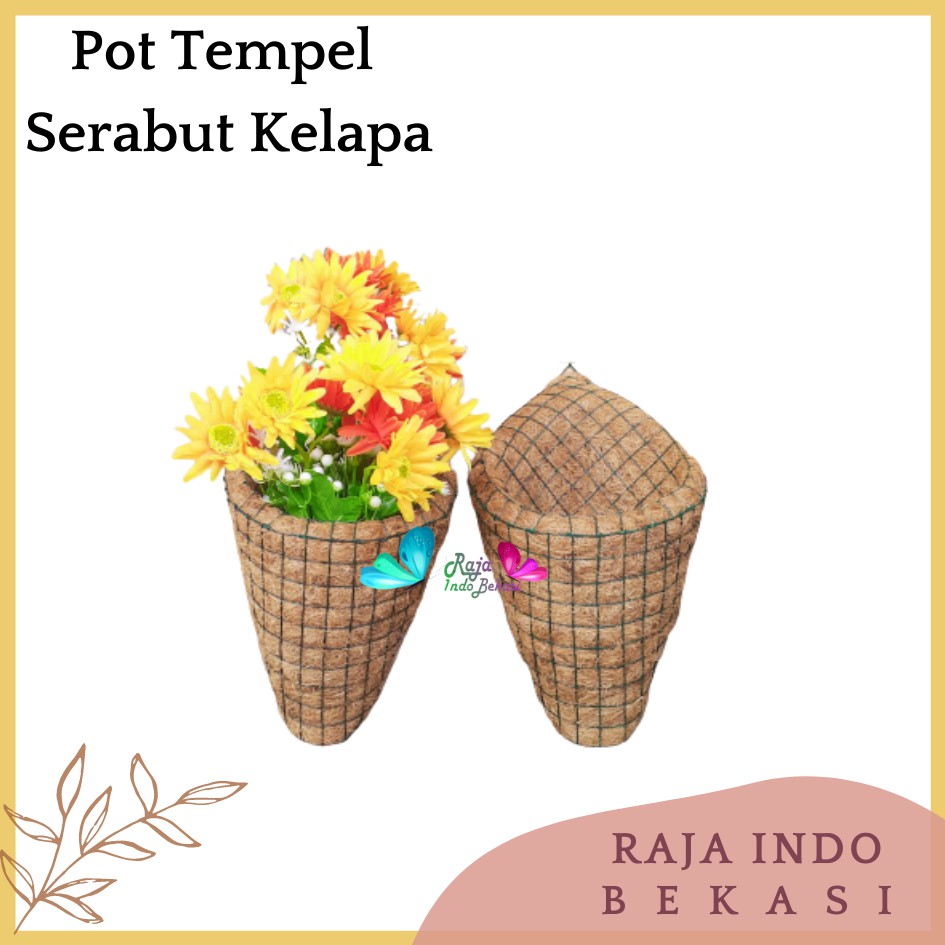 Pot Tempel Anggrek Kerucut Pot Sabut Kelapa Pot Serabut Kelapa Gantung Tanaman Anggrek Termurah