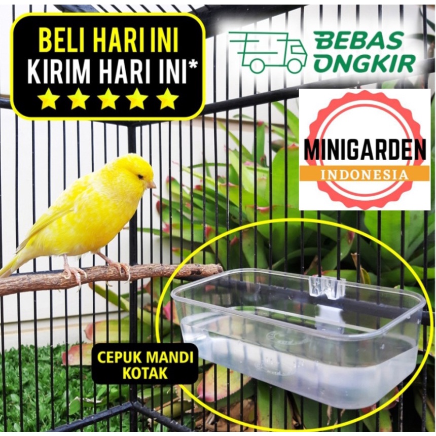 CEPUK MANDI BURUNG KOTAK wadah makan mika plastik tebal