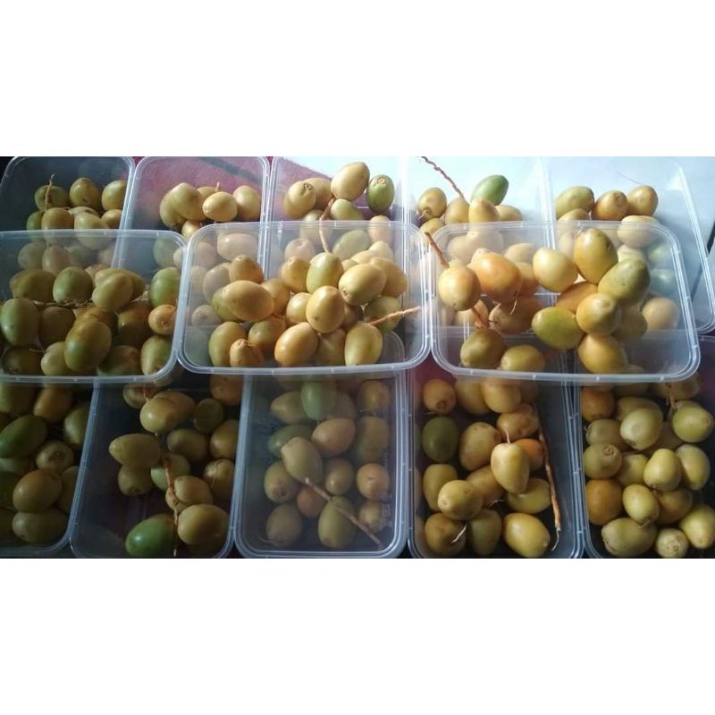 

Kurma muda promil 250 gr