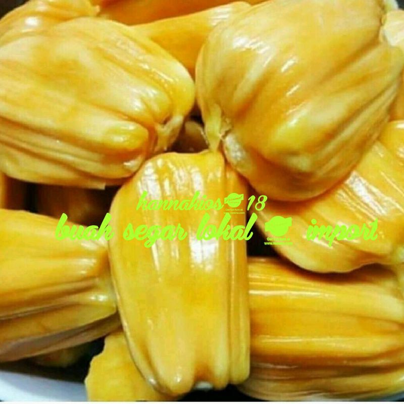 

BUAH NANGKA KUPAS FRESH 1KG