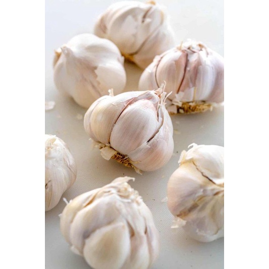 

Bawang Putih Honan Bersih Fresh