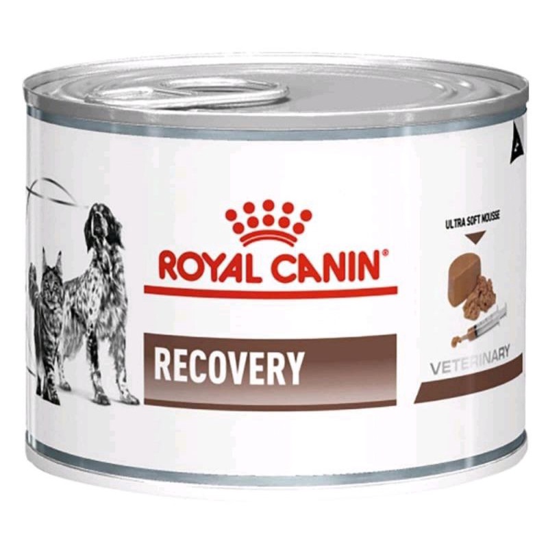 Recovery Royal Canin /wet food