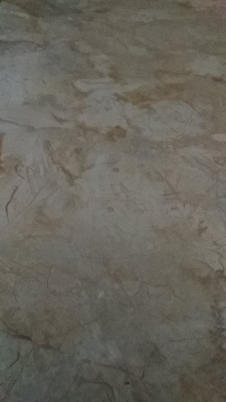 Bmw Kitchen Ware - Piring Jerami Kotak Piring Buah Sayur Makanan Wheat Straw Square Plate Warna